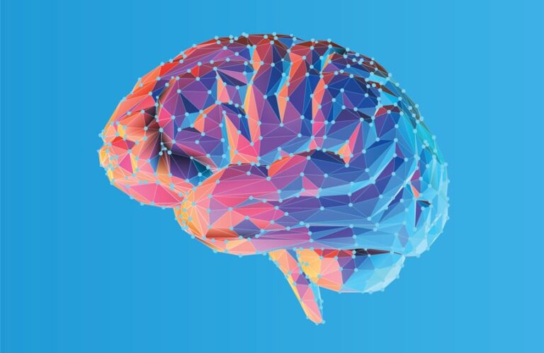 Colorful depiction of the brain