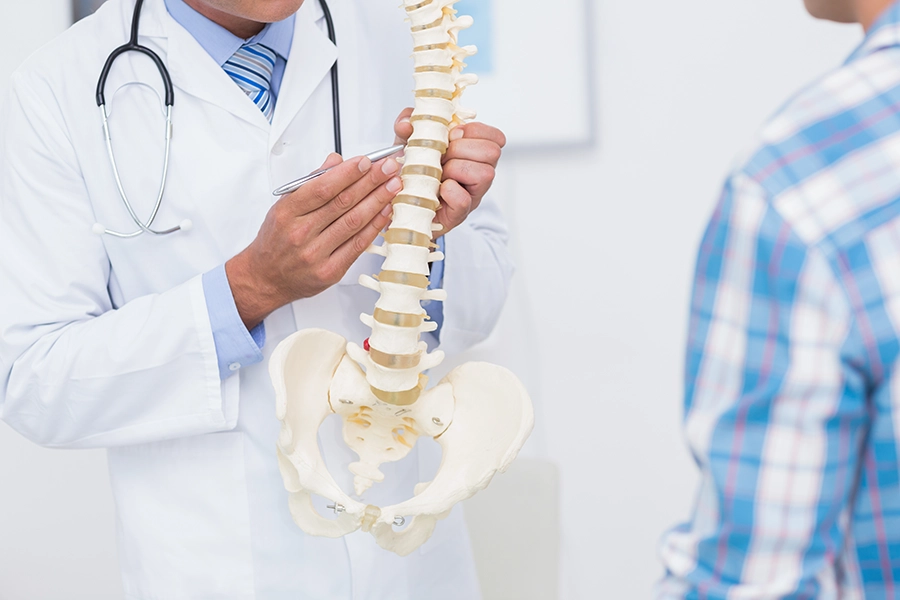 doctor showing anatomical spine to his patient