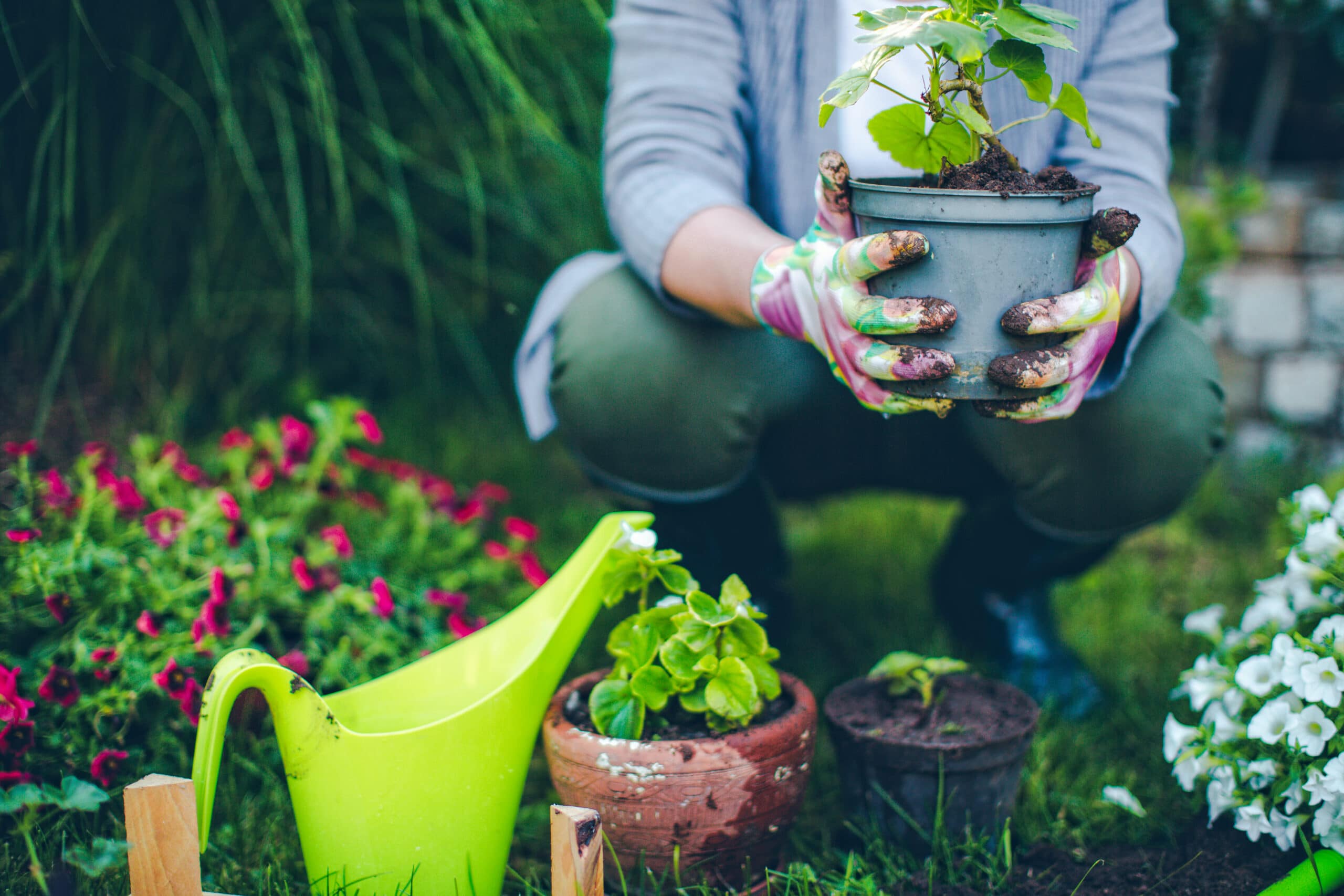 Gardener and her plants outside