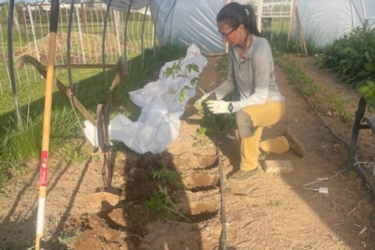 heather wright digging a hole in her garden bed