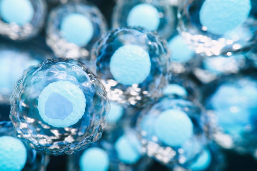 images regenerative medicine stemcell