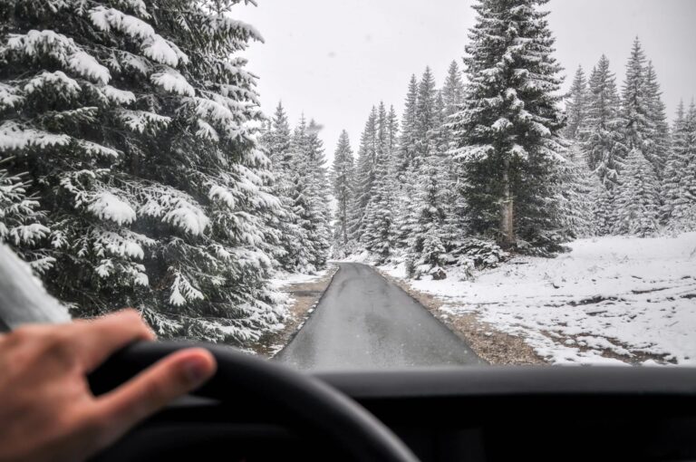 hand gripping the sheering wheel on a scenic snow drive