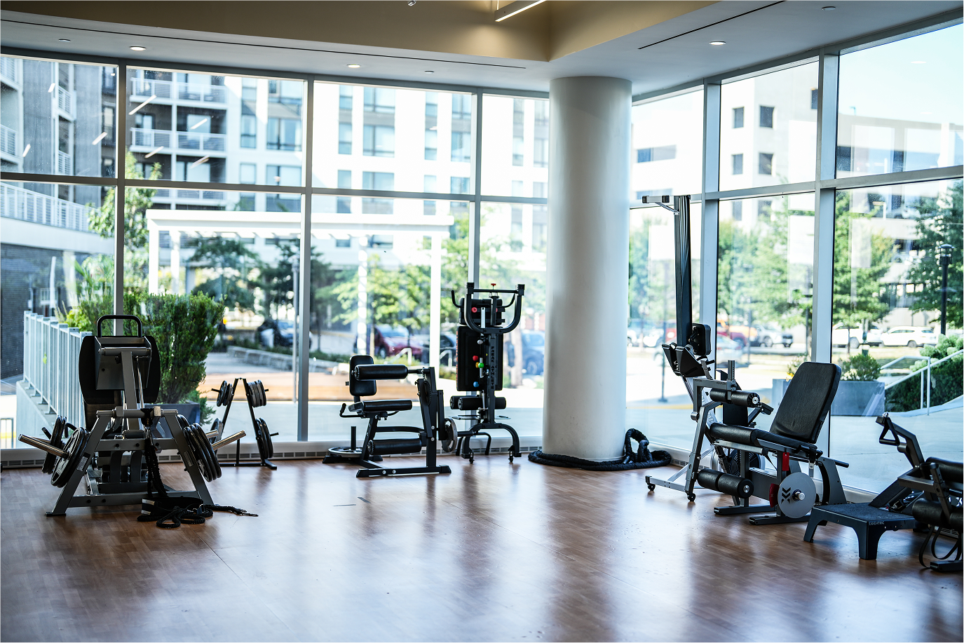 gym equipment for back pain
