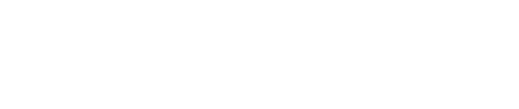 vsi logo tagline horizontal white